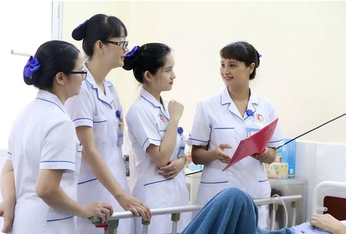 BAT Germany bridges Germany’s urgent staffing needs with Vietnam’s expanding talent pool